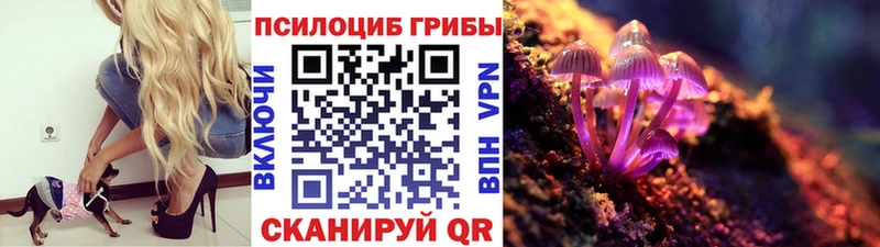 продажа наркотиков  Сольцы  Галлюциногенные грибы прущие грибы 
